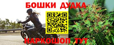 ПСИЛОЦИБИНОВЫЕ ГРИБЫ Кандалакша