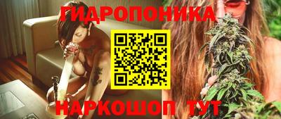 ПСИЛОЦИБИНОВЫЕ ГРИБЫ Кандалакша