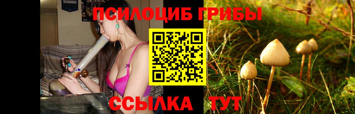 Псилоцибиновые грибы MAGIC MUSHROOMS Лангепас